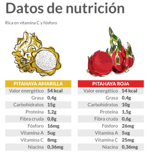 Pitahaya Beneficios Rica En Vitamina C De Acci N Antioxidante