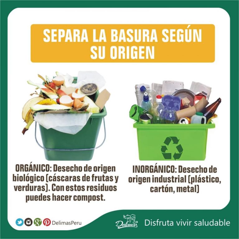 Cómo Reciclar Los Residuos Sólidos Orgánico E Inorgánico Blog Vive Sano 5085