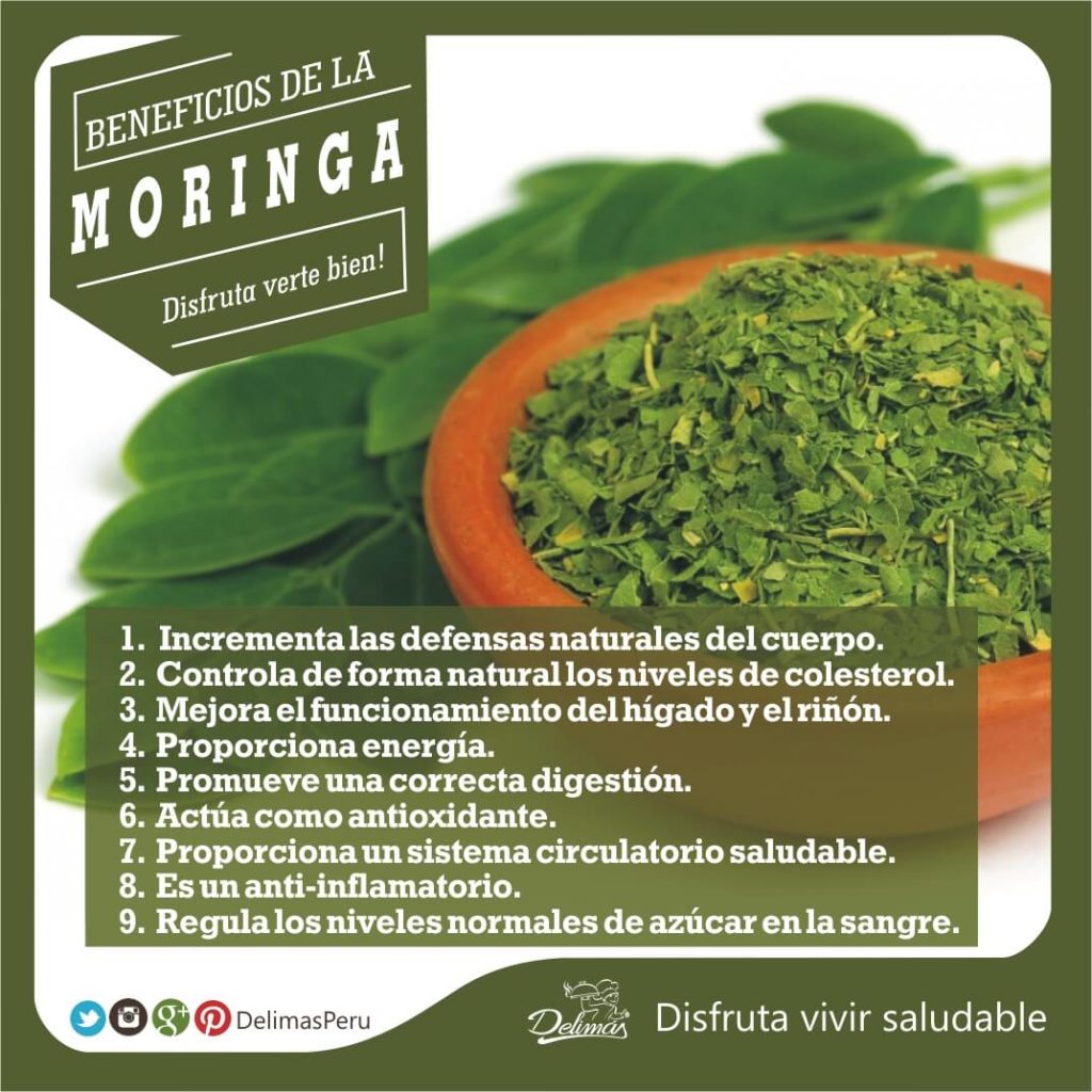 Moringa | Beneficios -> Una Muy Valiosa Fuente De Nutrición – Blog Vive ...