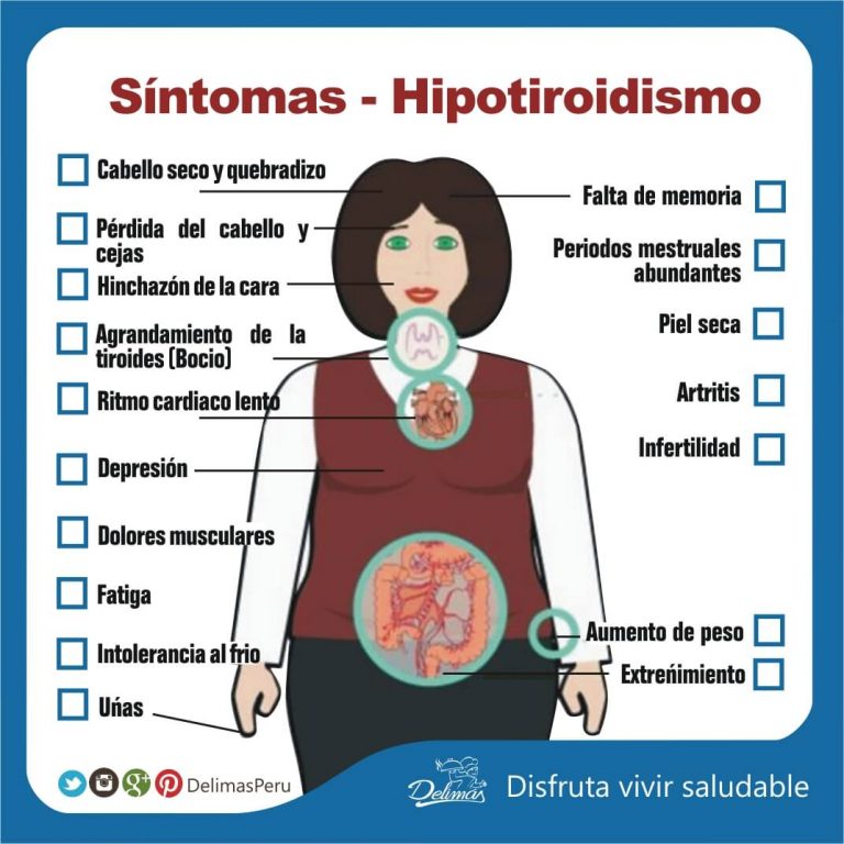 Hipotiroidismo Qué Es Síntomas Causas Y Tratamiento – Blog Vive Sano