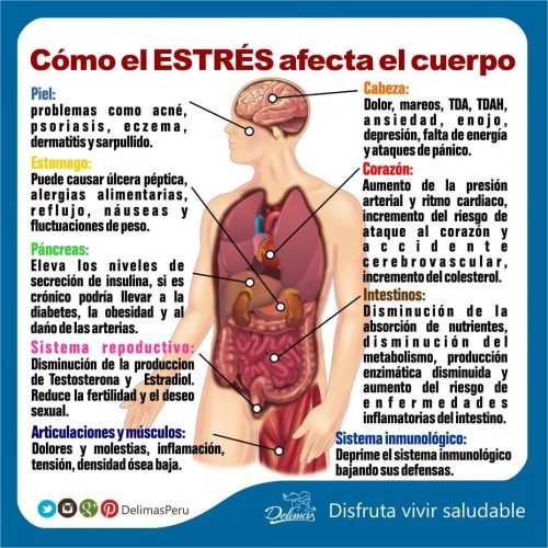 El Estrés Los Síntomas Y Cómo Controlarlo Blog Vive Sano 1761