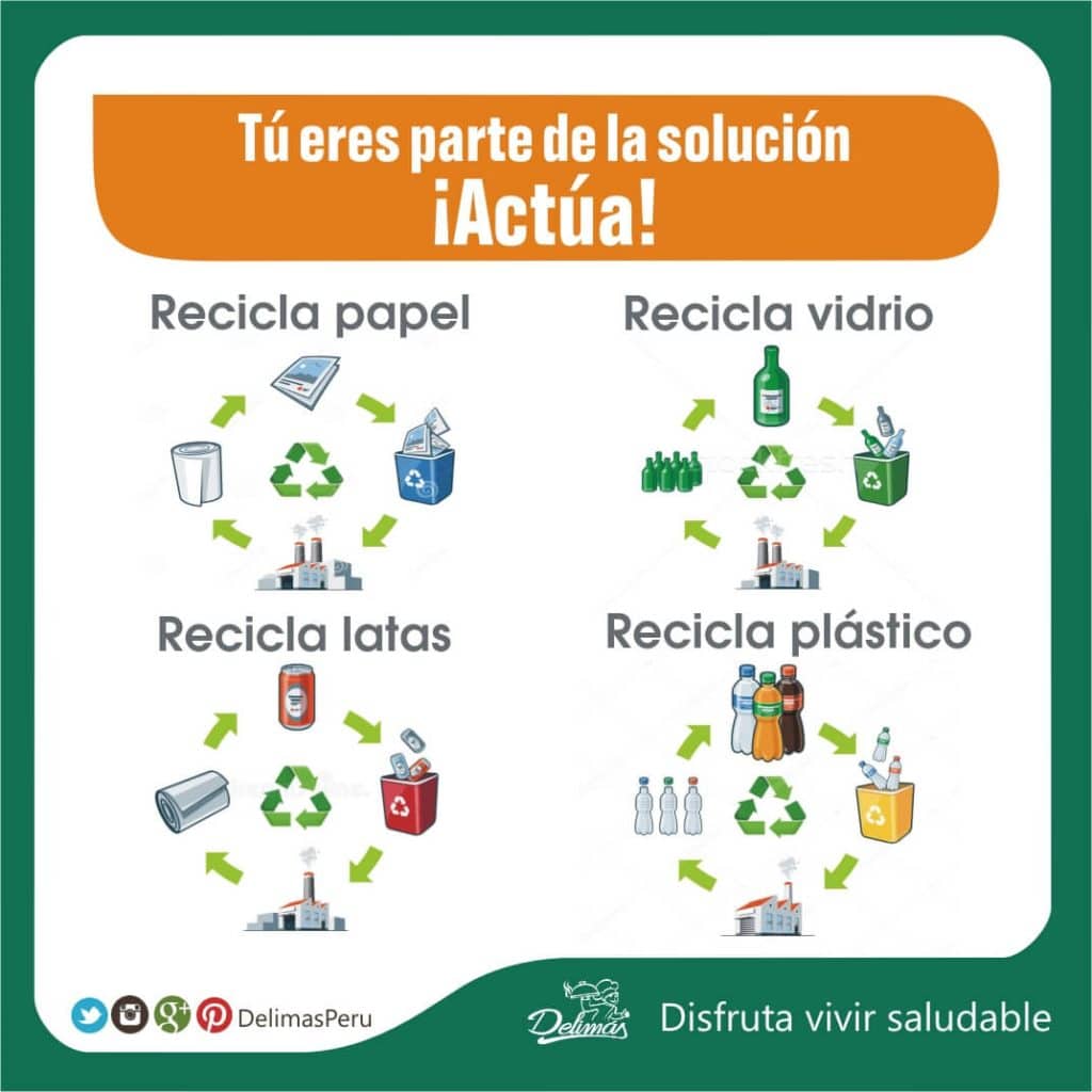 Reciclaje | Cómo Segregar Los Residuos Sólidos En Casa – Blog Vive Sano