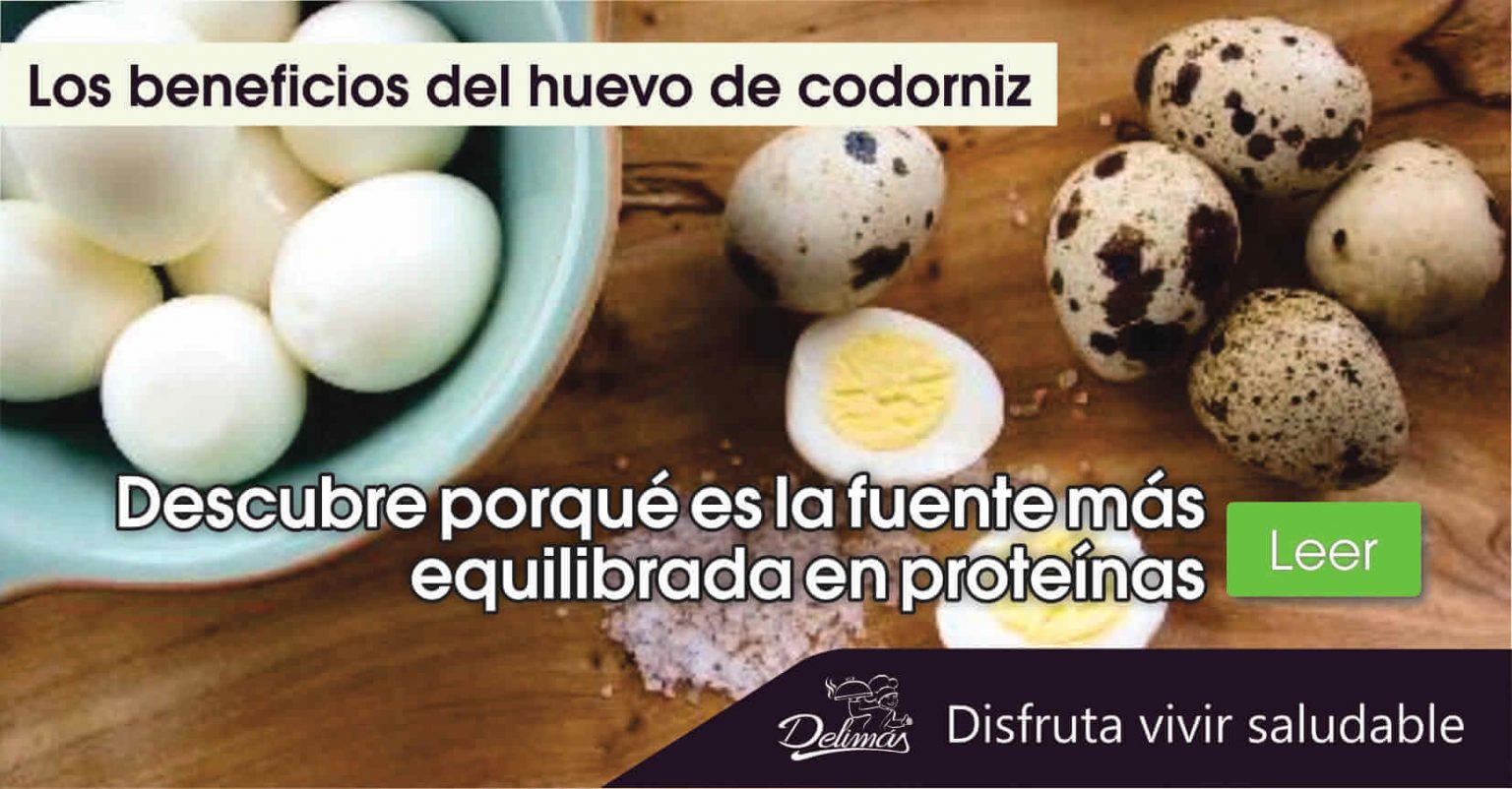 Huevo De Codorniz Propiedades Beneficiosas Para La Salud Blog Vive Sano 0272