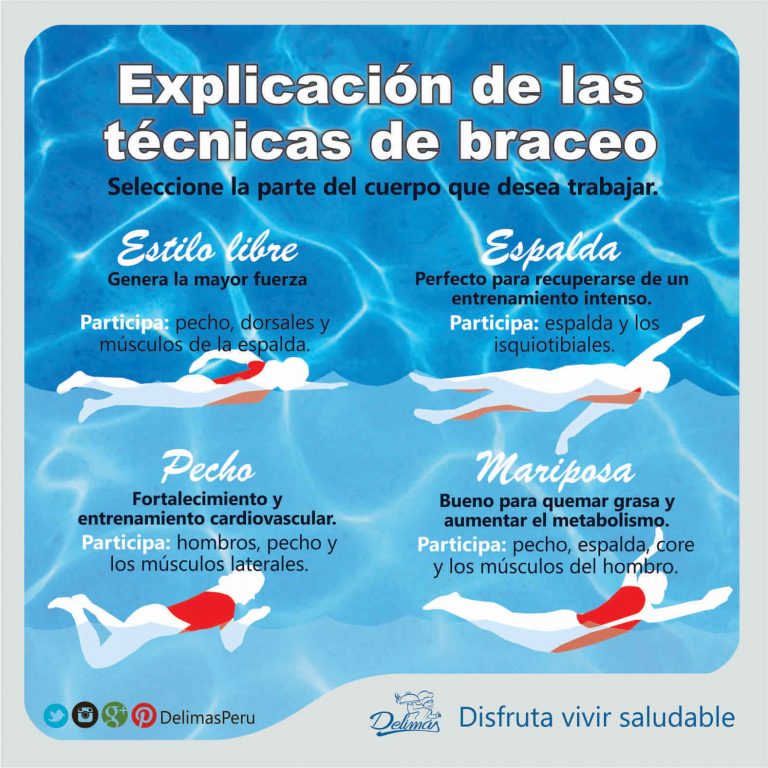 Estilos De Natación | Técnica Braceo-> Crol, Pecho, Espalda, Mariposa ...