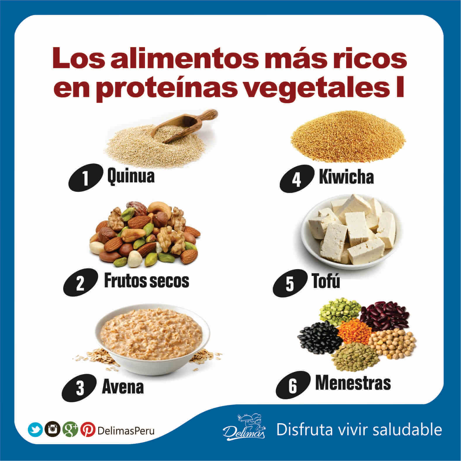 Alimentos Más Ricos En Proteína Vegetal Descubre Cuáles Son Blog Vive Sano 0780